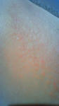 hadaare-090101-1.jpg