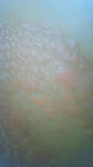 hadaare-090623-up.jpg