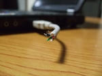 DSCF2078_ks.jpg