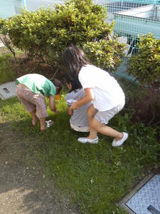 P1000277.jpg