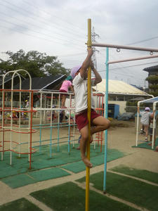 P1000279.jpg
