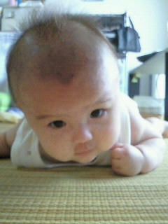 200808041257000.jpg