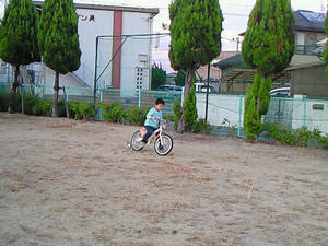 NEC_0184.jpg