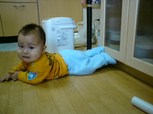 20090115161658.jpg
