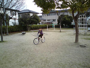 20090117133916.jpg