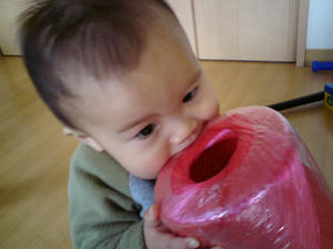 20090212091940.jpg