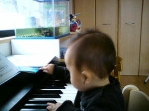 20090219154959.jpg