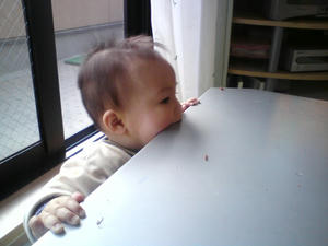 20090301153803.jpg