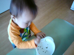 20090422114850.jpg