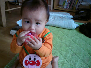 20090423113130.jpg