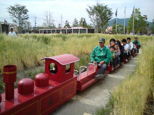 DSC00272.JPG