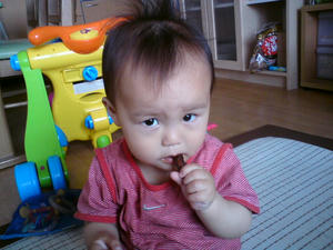 20090509101411.jpg