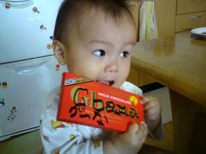 20090510082252.jpg