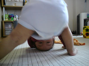 20090518103701.jpg