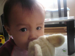 20090527131225.jpg