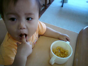 20090601144313.jpg