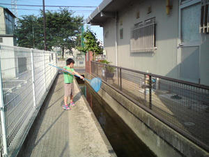 20090612165533.jpg