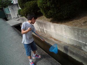 20090613142523.jpg