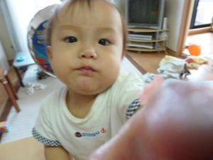 P1000176.JPG