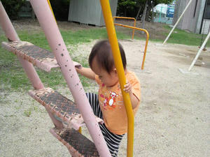 P1060013.jpg