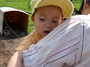 P1000203.JPG