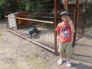 P1000204.JPG