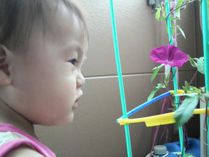 P1060021.jpg