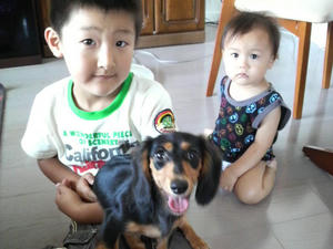 P1060040.jpg
