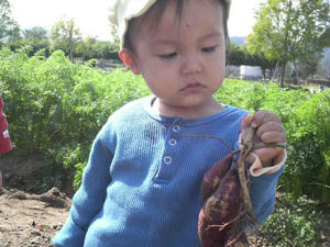 2009101511160001.jpg