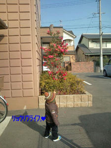 20100129100905.jpg