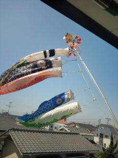 20100428101915.jpg
