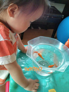 20100522125713.jpg