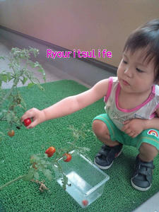 20100710090811.jpg