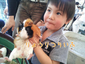 201251014458.jpg