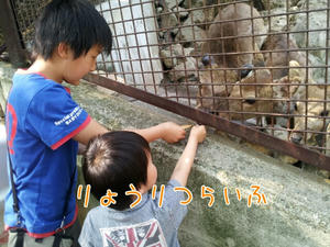 2012510144627.jpg
