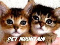 petmountain1.jpg