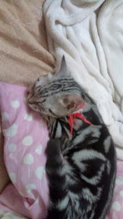 20100809224314~00.jpg