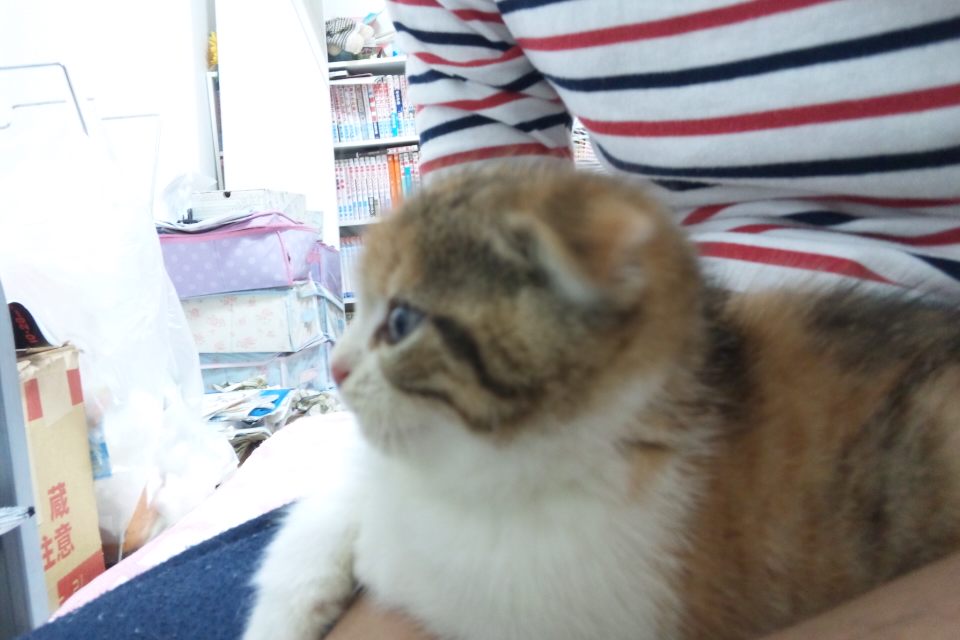 DSC_1439.JPG