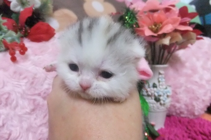 9015cb72.jpg