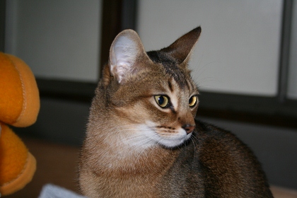 bb7084bd.jpg