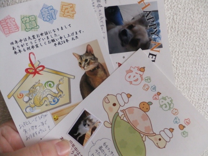 95cf0997.jpg