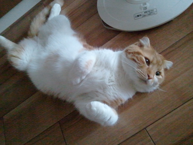 2011-07-03_05_34_16.jpg