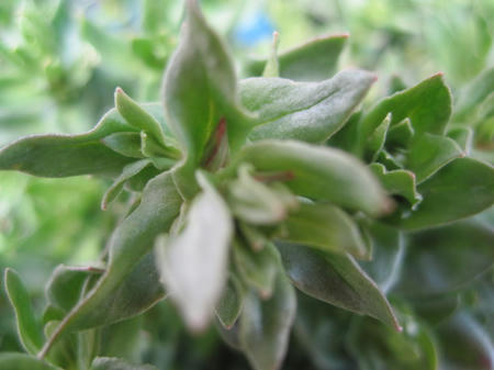 e635025e.jpg