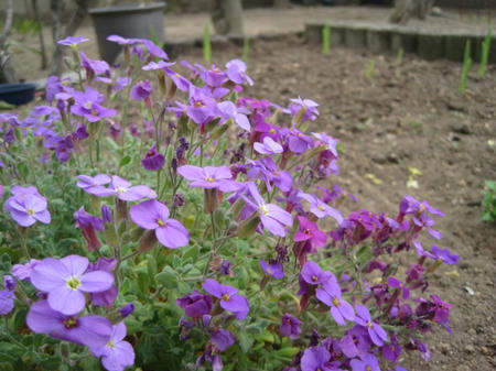 0666640a.jpg