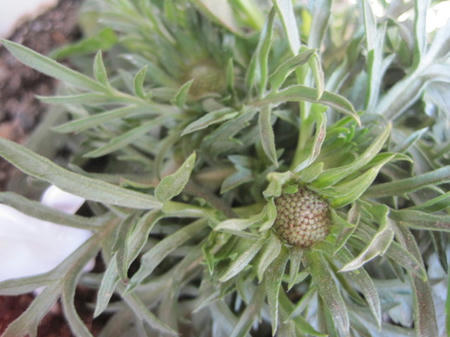 b05210cb.jpg