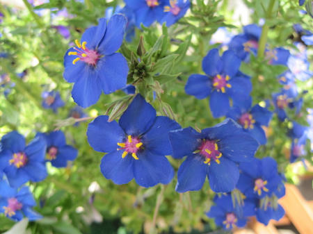 f7965e5e.jpg