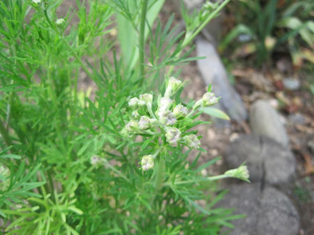aa494150.jpg