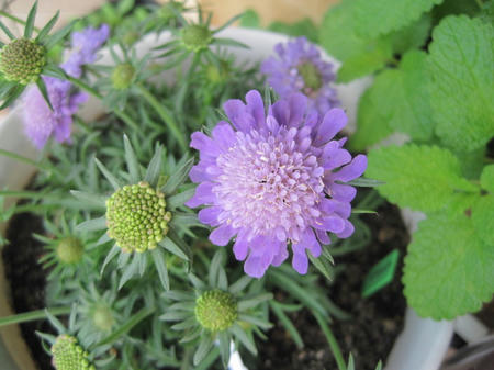 5920d4d7.jpg