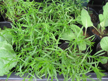 876fd1a4.jpg