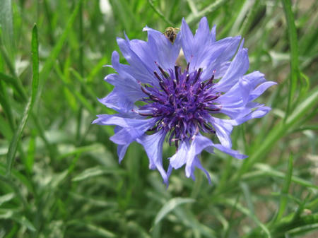 aa4996ef.jpg